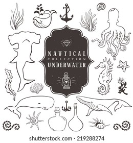 Sea life, marine animals. Vintage hand drawn elements in nautical style.Vol.3 Vector illustrations on white background. Outline drawing