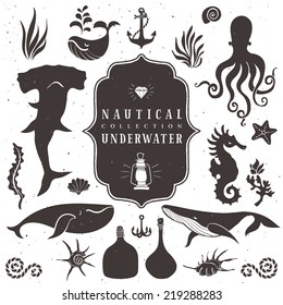 Sea life, marine animals. Vintage hand drawn elements in nautical style.Vol.2 Vector illustrations on white background.