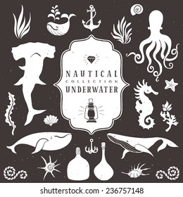 Sea life, marine animals. Vintage hand drawn elements in nautical style.Vol.2 Vector illustrations on white background.