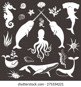 Sea life, marine animals. Vintage hand drawn elements in nautical style. Vector illustrations.