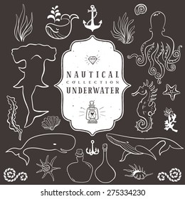 Sea life, marine animals. Vintage hand drawn elements in nautical style.Vol.3 Vector illustrations on dark background. Outline drawing.