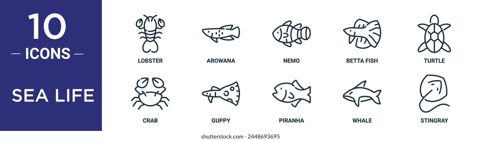 Sea Life Outline Icon Set enthält Thin Line Hummer, Arowana, Nemo, Betta Fisch, Schildkröte, Krabbe, Guppy Icons für Bericht, Präsentation, Diagramm, Webdesign