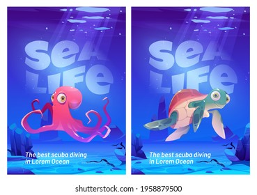 Sea life posters, scuba diving flyers. Funny octopus and turtle characters under water in ocean. Vector cartoon illustration of undersea landscape with wild marine animals