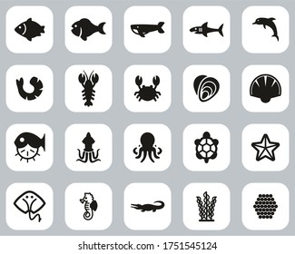 Sea Life & Seafood Icons Black & White Flat Design Set Big