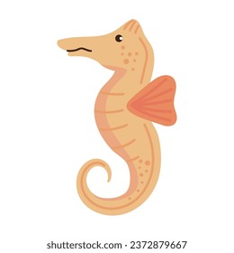 sea life seahorse illustration isolated