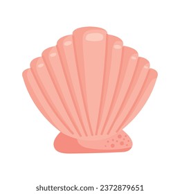 sea life seashell illustration isolated