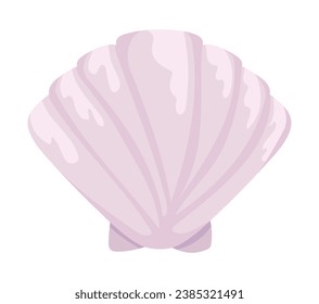 sea life seashell illustration isolated