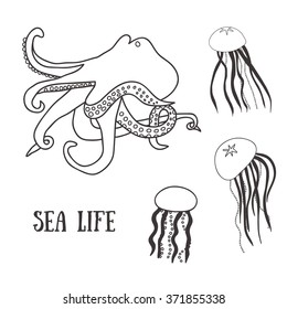 Sea life set: 3 different jelly-fish and octopus in monochrome. Vector illustration for  pattern design, web design, textile design etc.