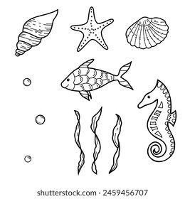 Sea life set. Hand drawn Sea Shells, Star, horse and Fish. Vector illustrations of Seaweeds, laminaria algae and Water Bubbles in doodle style. Sketch Marine underwater design elements.