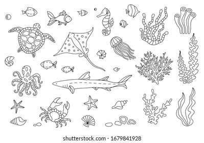 Sea life set line art vector illustration. Doodle coloring cartoon collection  objects and symbols jellyfish, shark, octopus, coral, crab, tortilla, fish, seahorse, stingray, shells, starfish