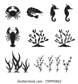 Sea life silhouettes - crab, lobster, shrimp, algae, seaweeds and seahorse