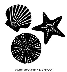 Sea life silhouettes set, starfish, scallop shell, sea urchin.