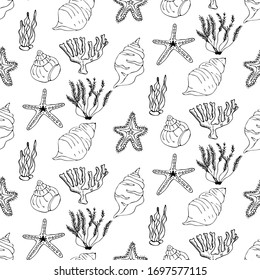 Sea life, sketch style vector seamless pattern isolated on white background. Realistic hand drawing of saltwater seashell, clam, conch, starfish, coral