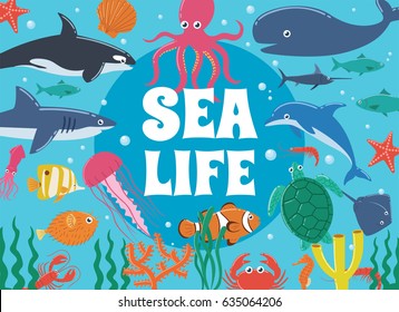 Sea life. Underwater world with sea creatures.
