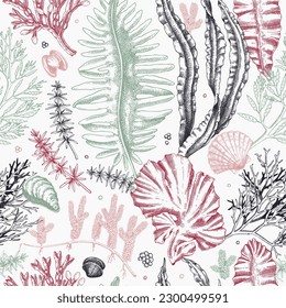 Fondo vectorial de vida marina. Patrón de algas comestibles sin fisuras. Kelp dibujado a mano, kombu, wakame, hijiki, conchas marinas ilustraciones. Estilo de sketch de algas submarinas. Para impresión, diseño de menú o ajuste