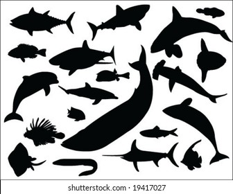 Sea life vector collection