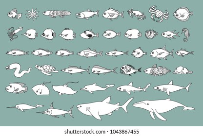 Sea life Vector Design Illustration, objects of sea, cartoon sea animals icons, sea animals set, fish set