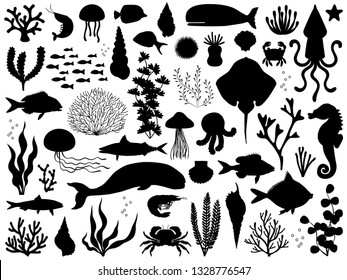 Sea life vector illustration