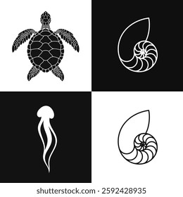 Sea life vector. Isolated jellyfish nautilus shell and sea turtle 