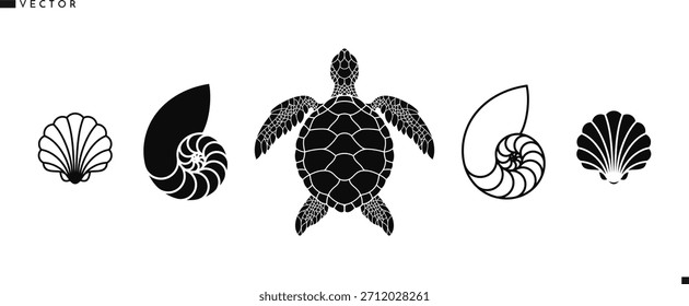 Sea life vector. Shell icon set. Isolated sea turtle nautilus shell and scallop