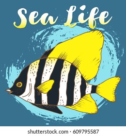 Sea life - vector zebra fish, coral fish hand drawn colorful illustration. Sketch with striped boarfish, marine animal on watercolor painted background