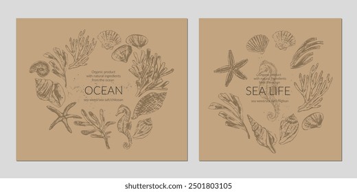 Sea liferound frame wreath background with seashells, seaweed, coral, starfish, seahorse on craft brown paper color.