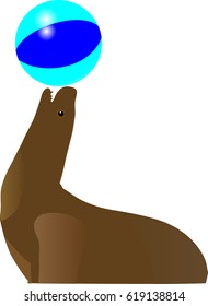 Sea lion