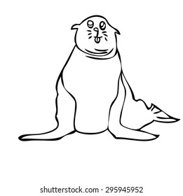 sea lion cartoon