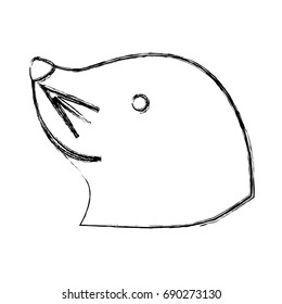 Sea lion cartoon