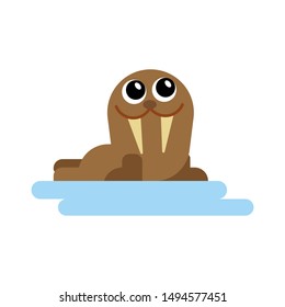 sea lion in flat style vector image