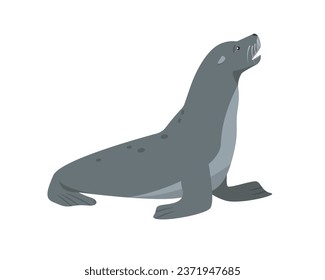 Sea lion or Fur seal animal icon. Northern Sea or ocean water mammal animal. Gray Arctic Sealion. Vector flat or cartoon illustration.