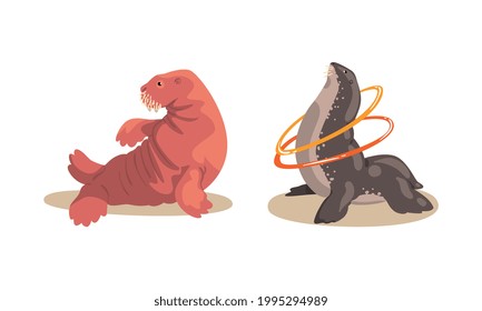 Sea Lion and Fur Seal Performing in Public in Dolphinarium Set Cartoon Vector Illustration
