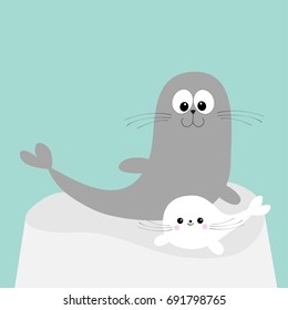 Sea lion. Harp seal pup lying on iceberg ice. Cute cartoon character. Happy animal collection. Sea ocean water. Mother and baby family. Blue background. Flat design Vector illustration