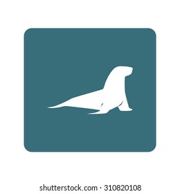 Sea lion icon