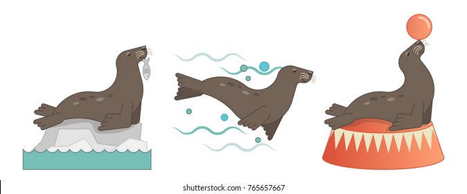 Sea lion illustrations with eating fish on ice, swimming in the water and showing trick with a ball.