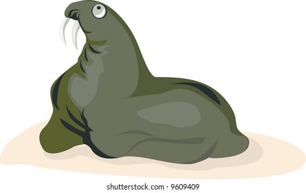  sea lion looking for something	