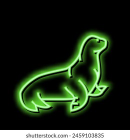 sea lion neon light sign vector. sea lion illustration