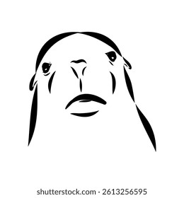 Sea lion, outline vector illustrations design