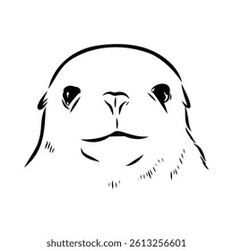 Sea lion, outline vector illustrations design