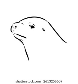 Sea lion, outline vector illustrations design