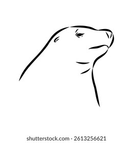 Sea lion, outline vector illustrations design