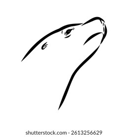 Sea lion, outline vector illustrations design