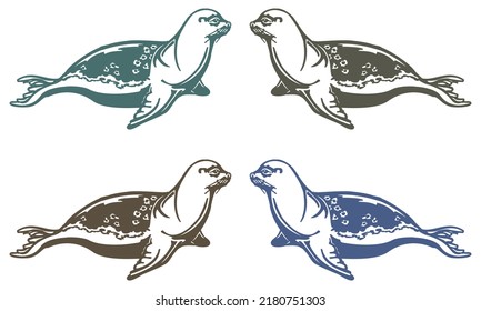 Sea Lion Seal Animal Vector Illustration
