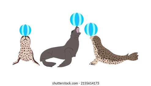 Sea Lion Seal Playing With Ball Circus Attraction Entertainment. Harbor Seal Family Vector Illustration Isolated On White Background. Grey Seal Baby. Ocean Winter Animal Portrait.