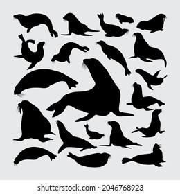 Sea Lion Silhouette. A Set Of Sea Lion Silhouettes