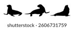 Sea Lion Silhouettes in different poses flat style, vector illustration	
