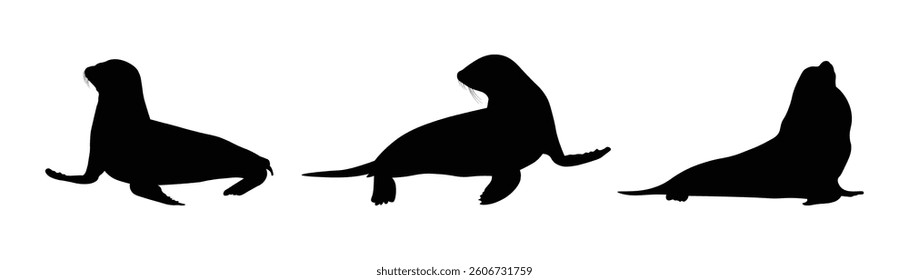 Sea Lion Silhouettes in different poses flat style, vector illustration	