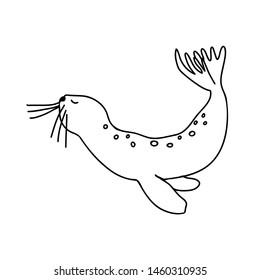 Sea lion vector illustration. Hand drawn sketch seal, black and white outline drawing. 