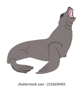 Ilustración vectorial del león marino aislada en fondo blanco. Sello. Animales del Ártico.