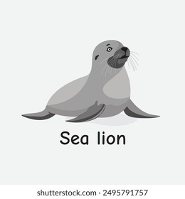 Sea Lion Vector Illustration: Marine Mammal